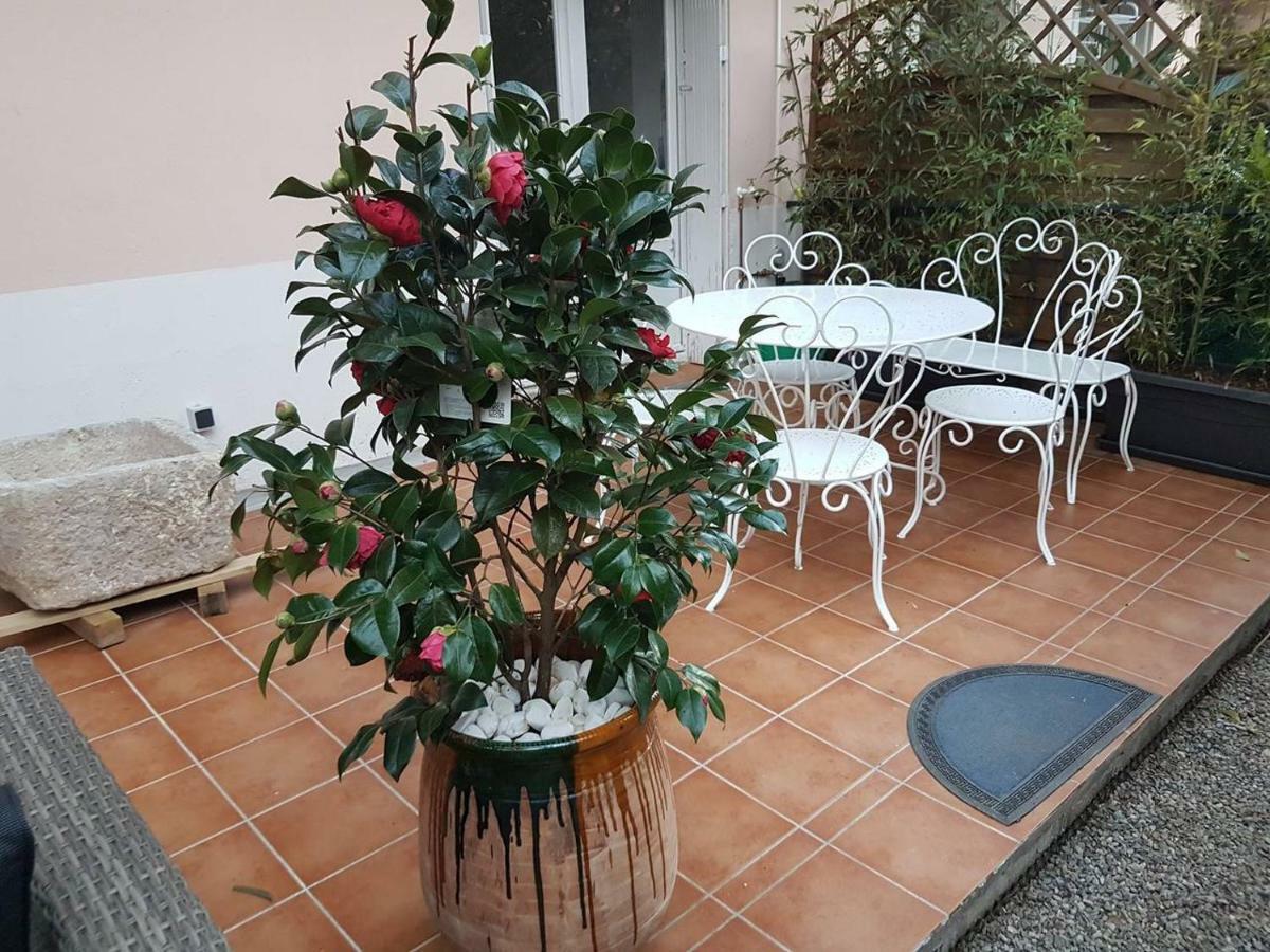 23 Rue Jean Amade Apartment Ceret Exterior photo